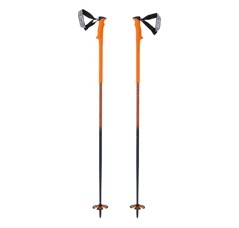 Zag South Ski Poles